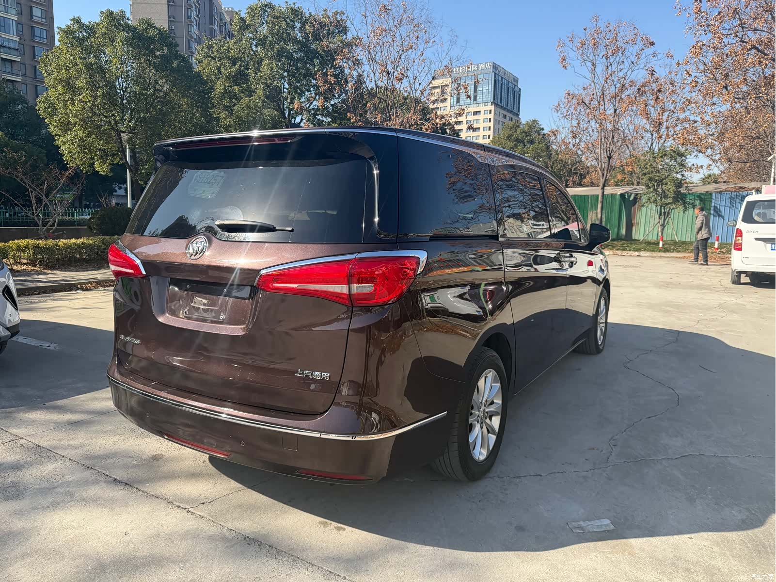 Buick GL8, 2019 13