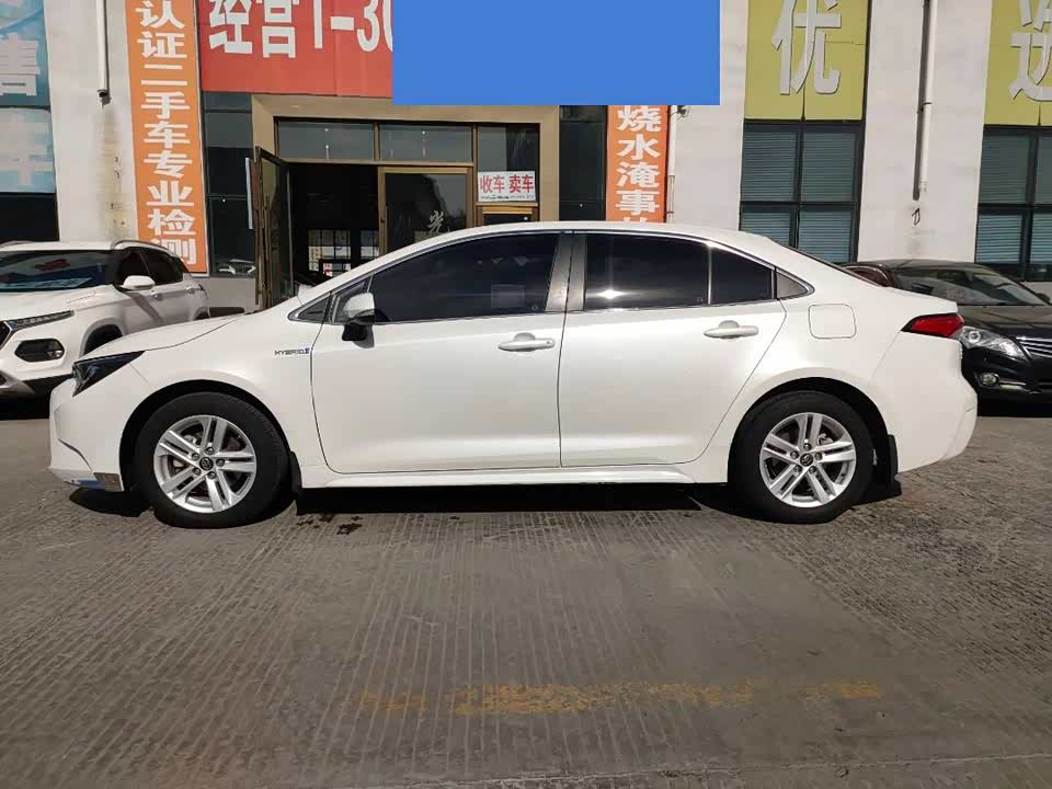 Toyota Lei Ling