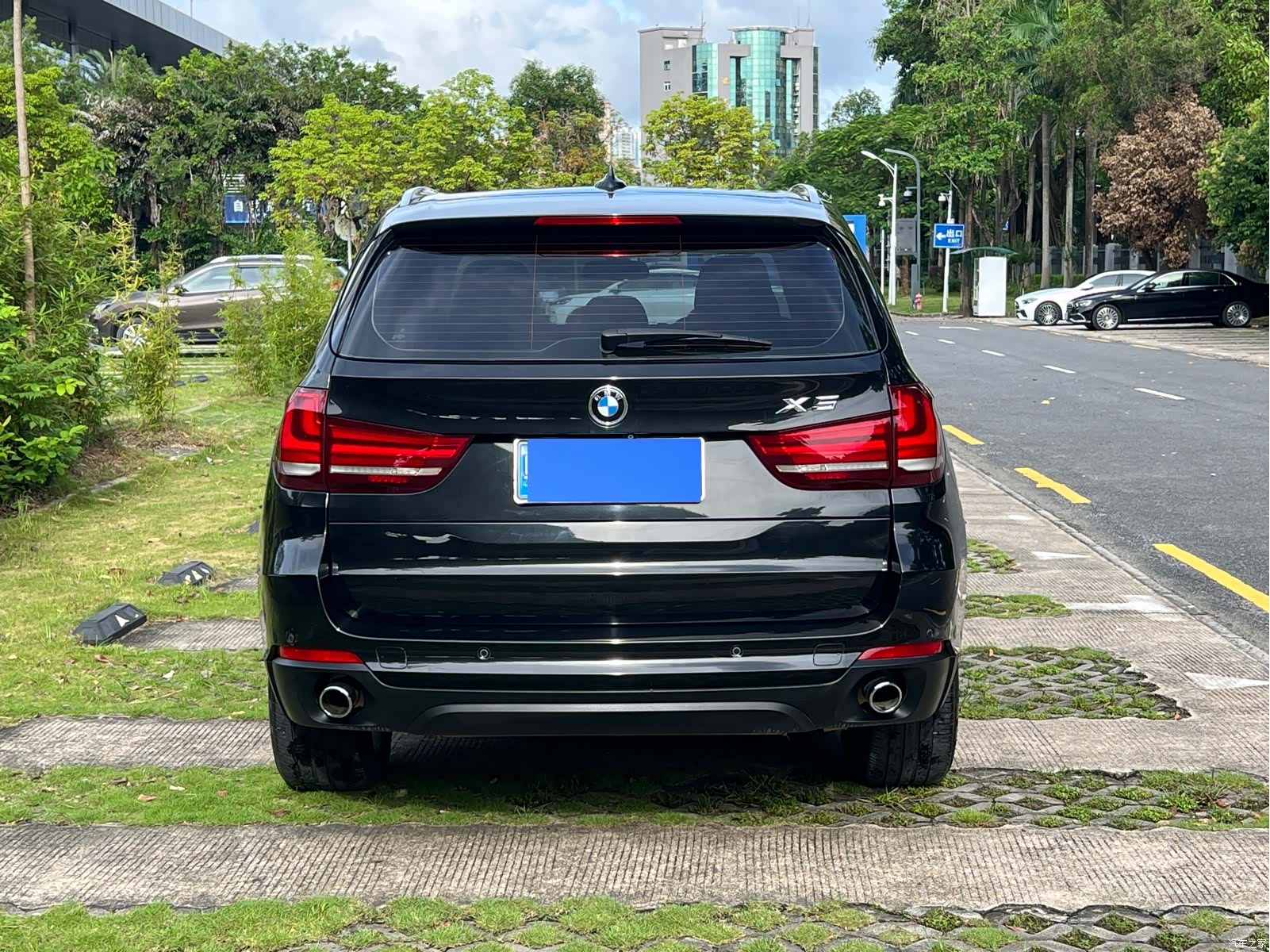 BMW X5, 2014 все фото