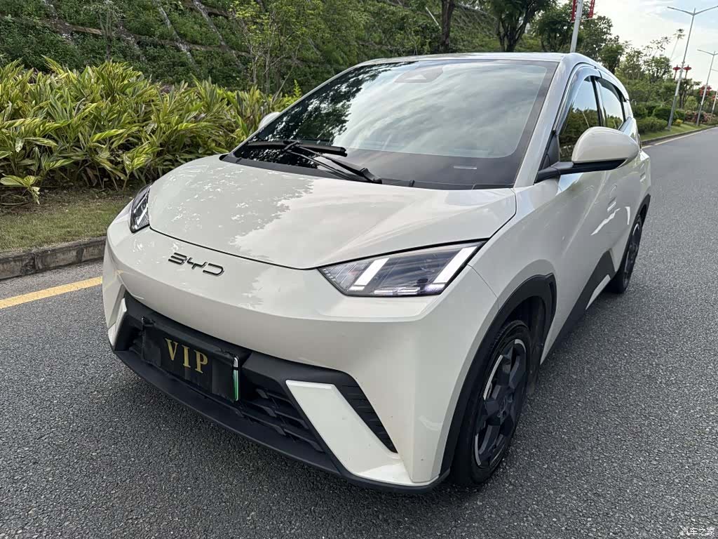 BYD Seagull, 2023 1