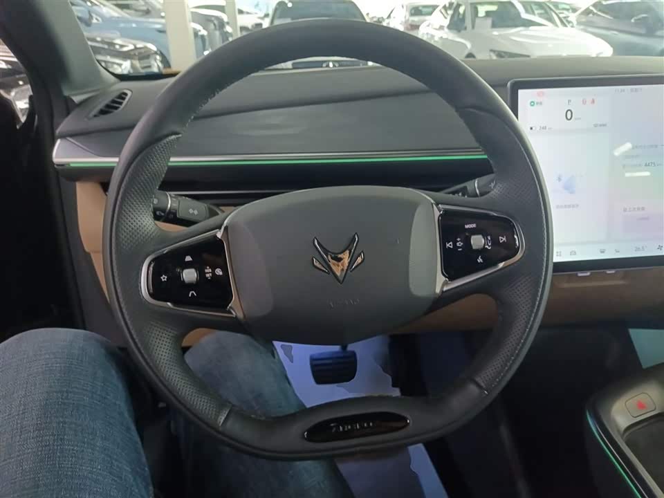 ARCFOX Polar Fox Alpha T5