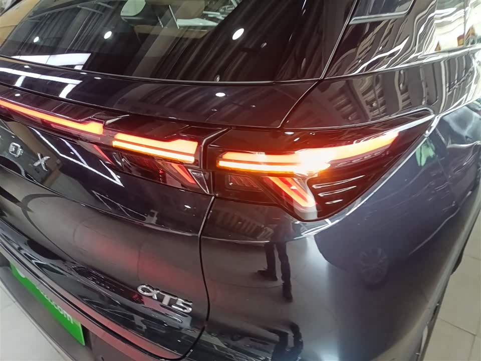 ARCFOX Polar Fox Alpha T5