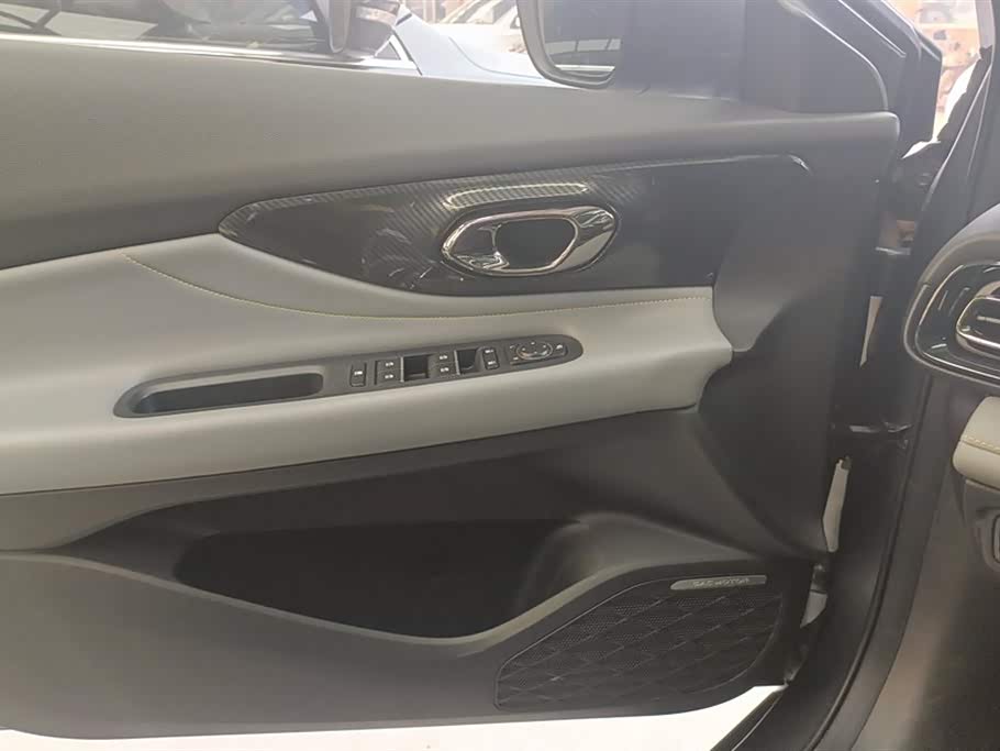 Trumpchi Shadow Leopard