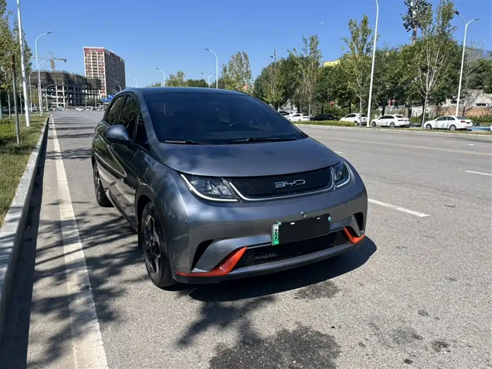 BYD dolphin