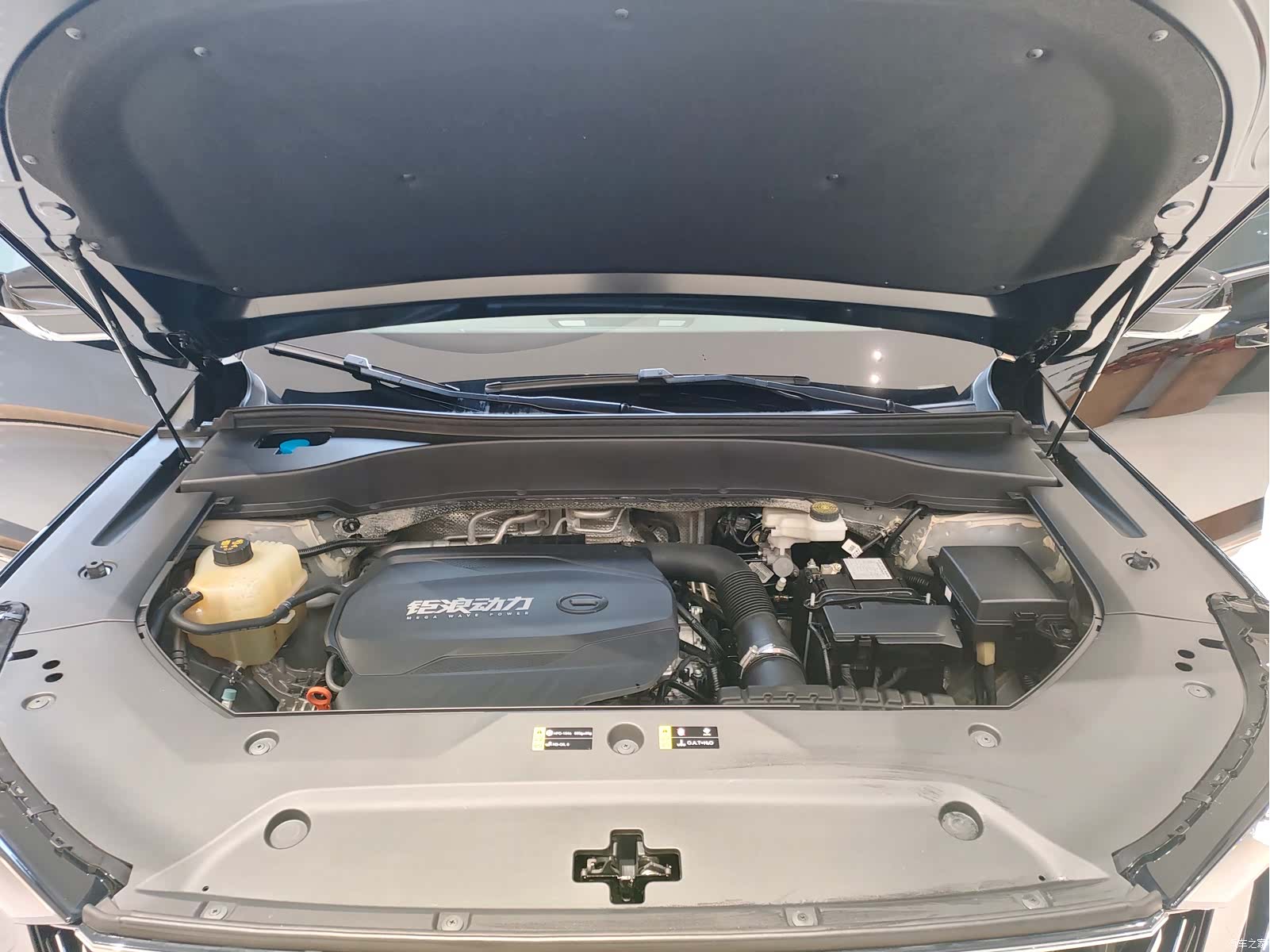 Trumpchi GS8, 2022 14