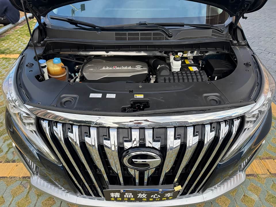 Trumpchi Trumpchi M8