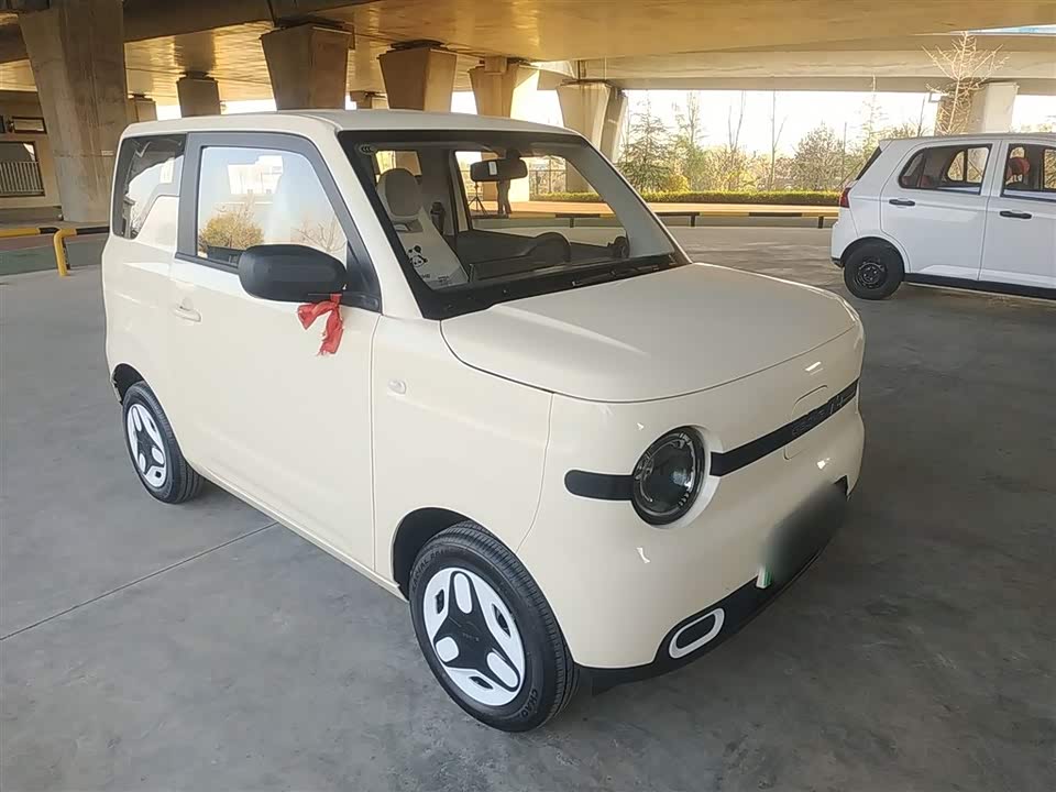 Geely Galaxy panda