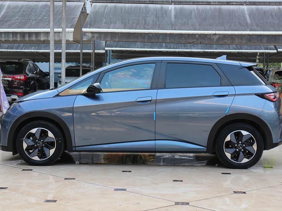 BYD dolphin