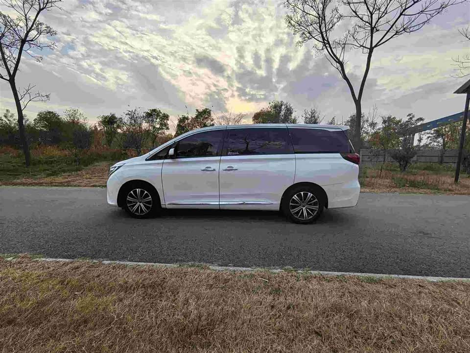 Trumpchi Trumpchi M8