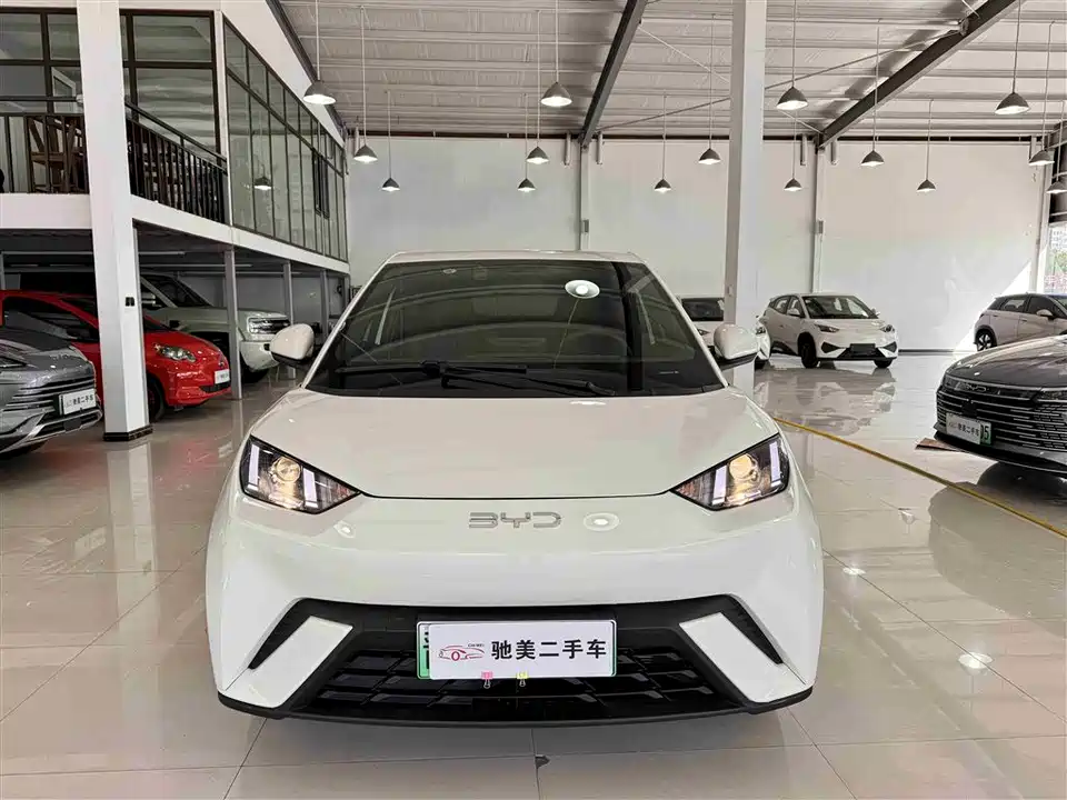BYD Seagull