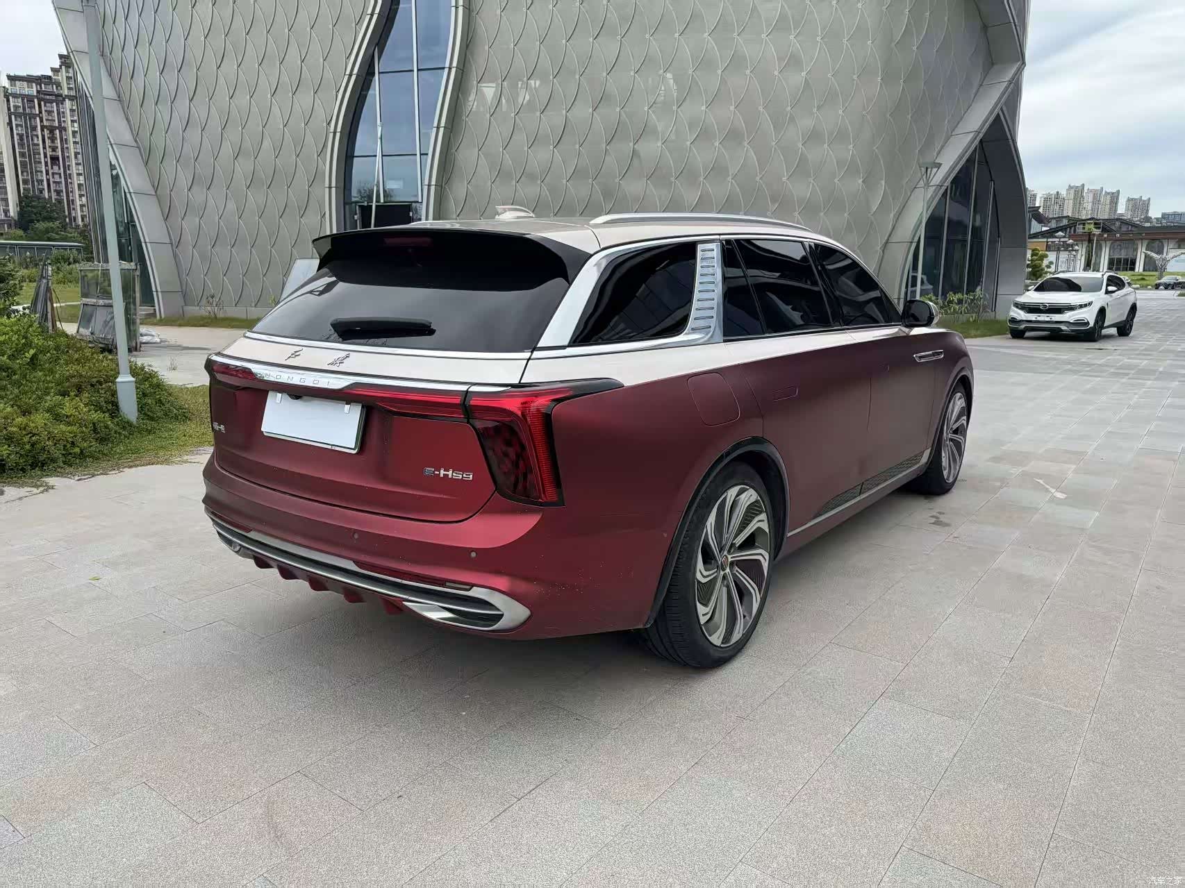 Hongqi E-HS9, 2021 6