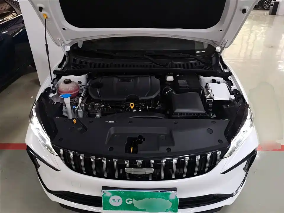 Geely Binrui Geely Binrui