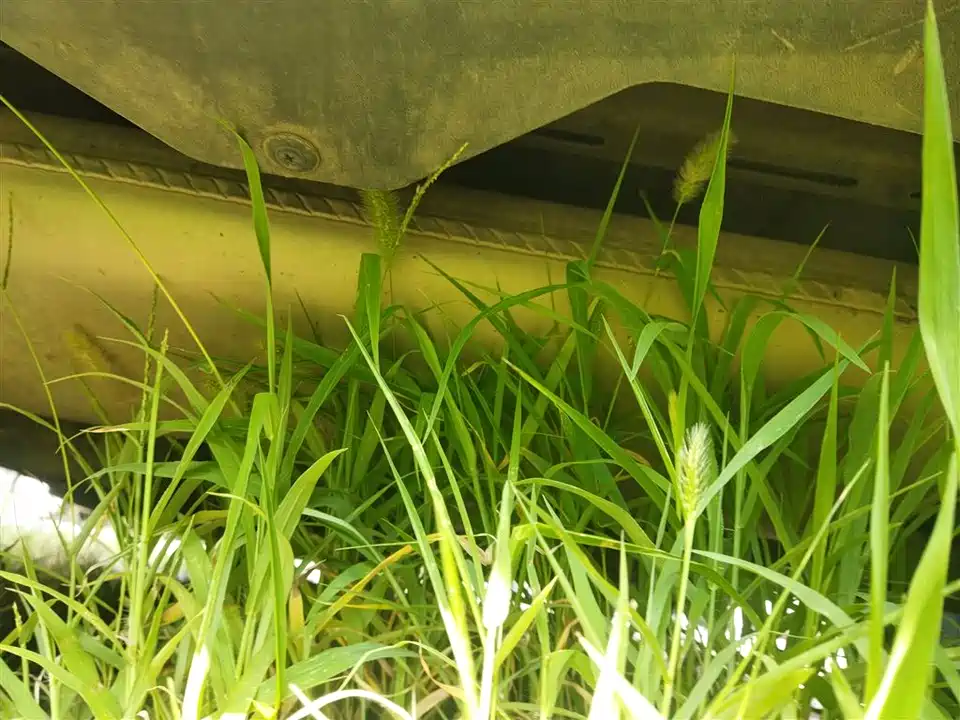 Zotye T700 Zotye T700