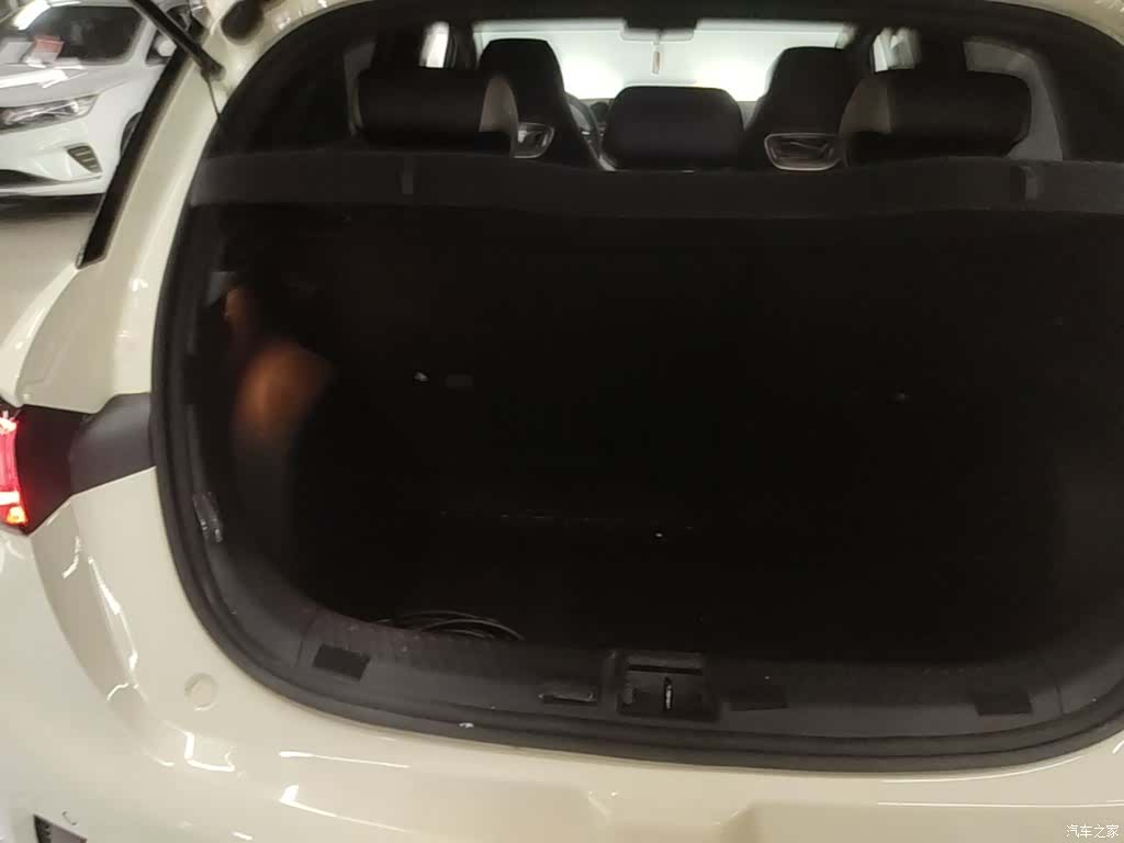BYD Dolphin, 2024 19