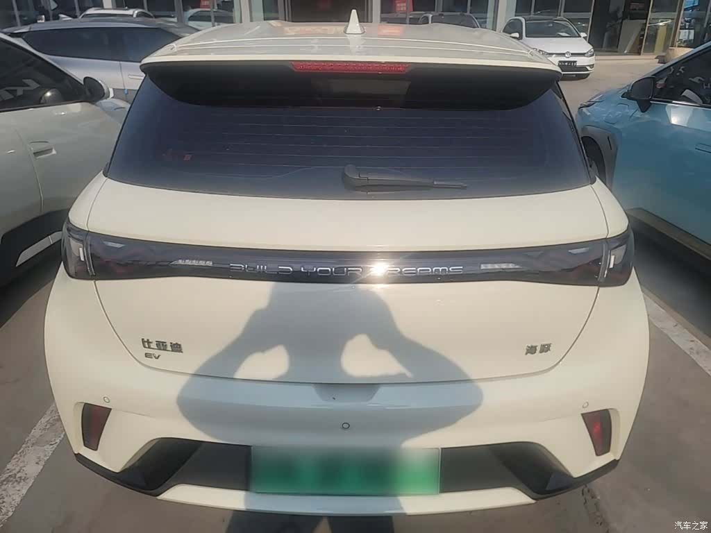 BYD Dolphin, 2024 4