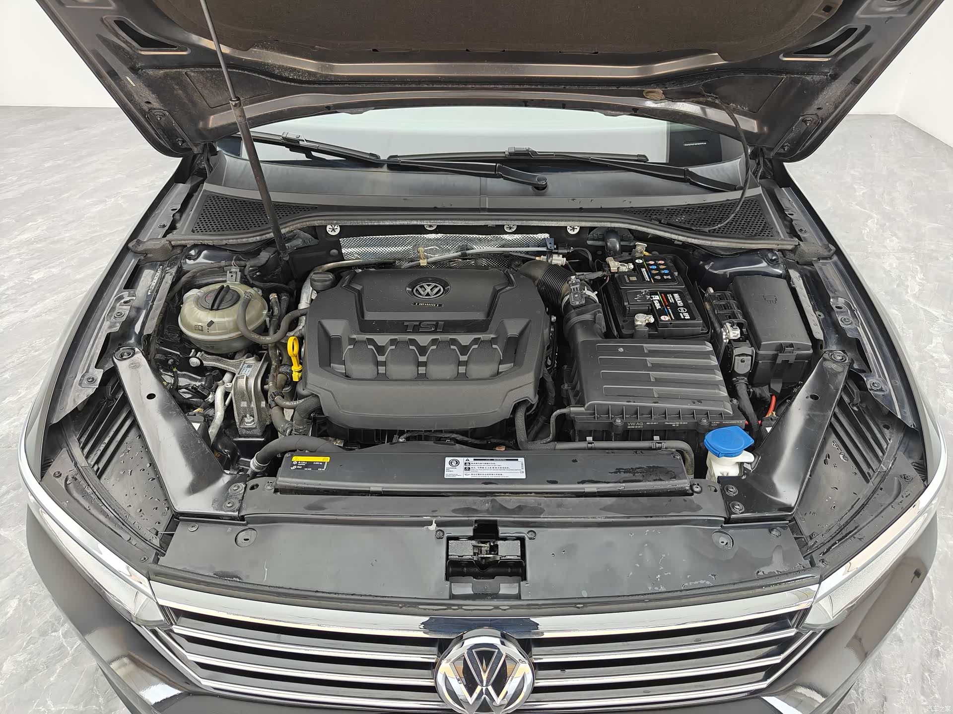 Volkswagen Magotan, 2019 19