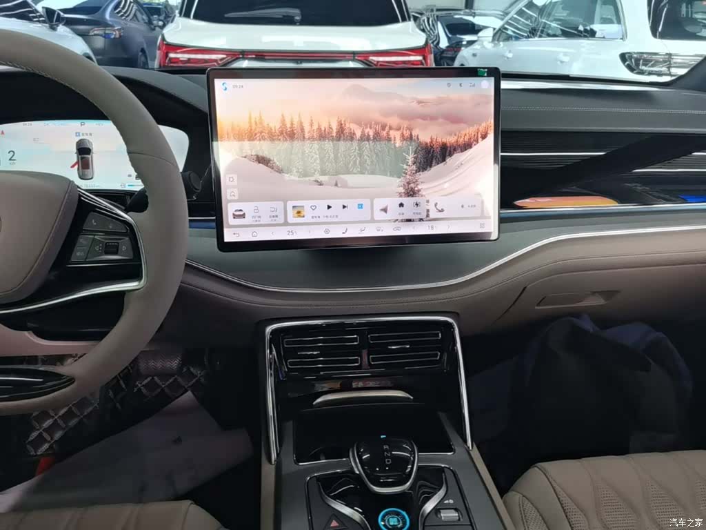 BYD Tang, 2024 13