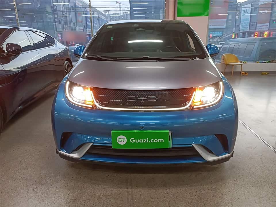 BYD dolphin