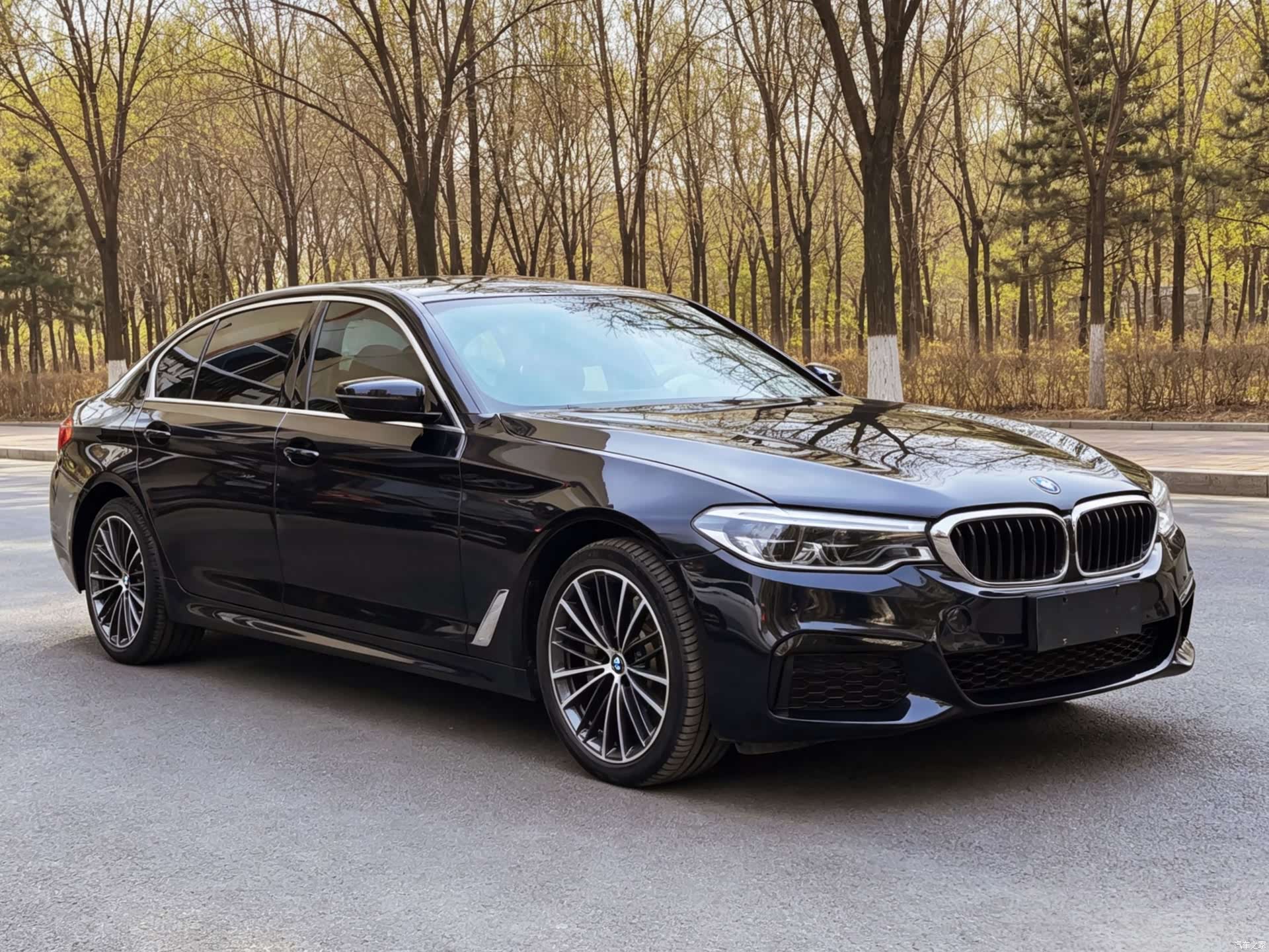 BMW 5 Series, 2020 8