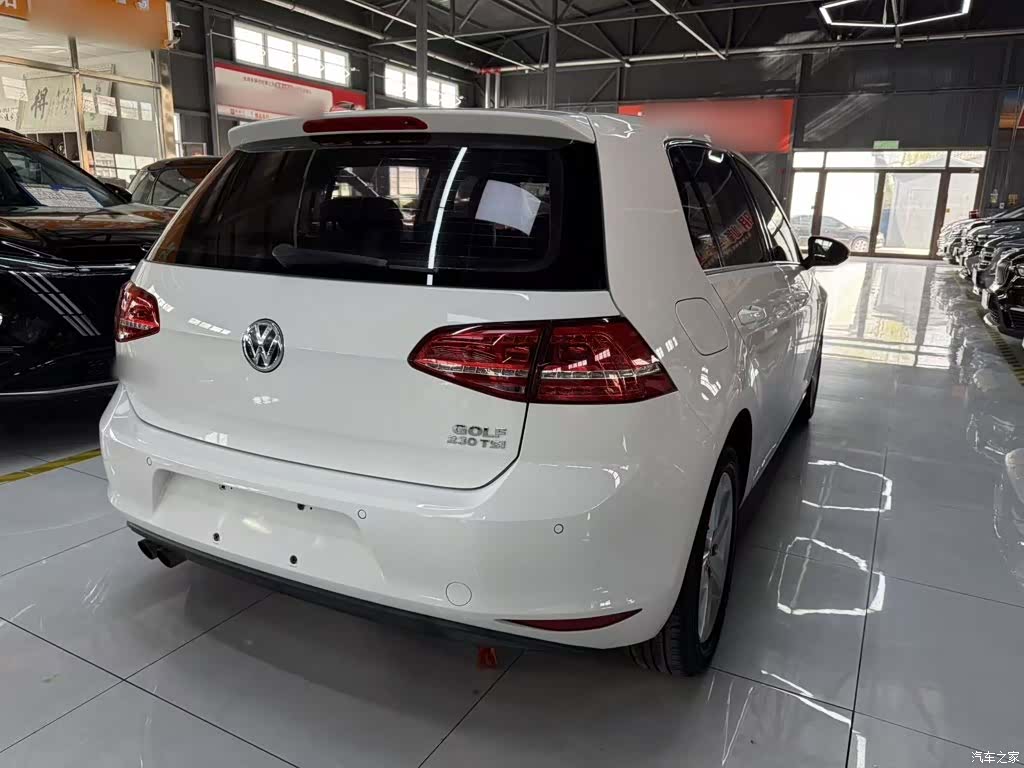 Volkswagen Golf, 2016 11