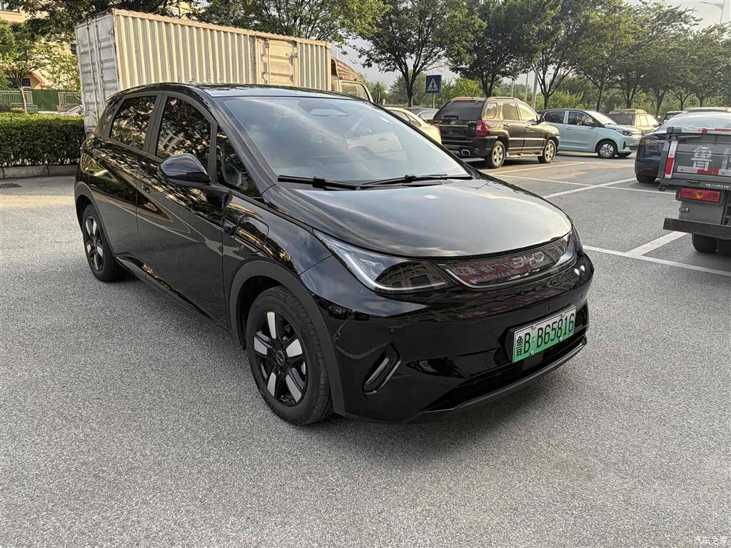 BYD Dolphin, 2025 2