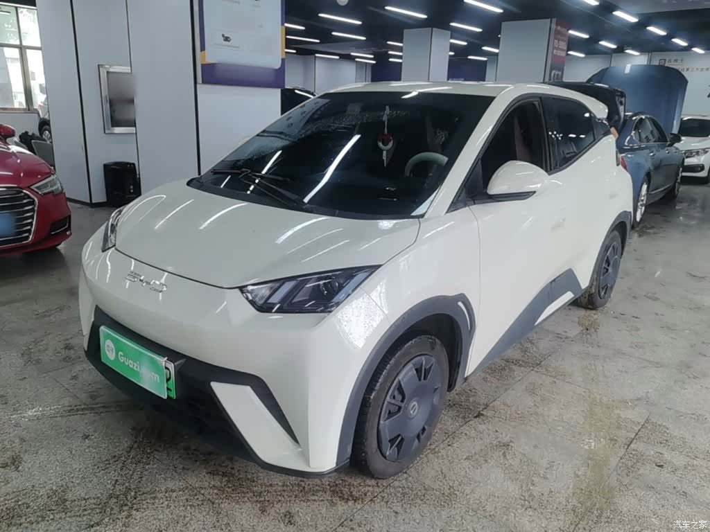BYD Seagull, 2023 1