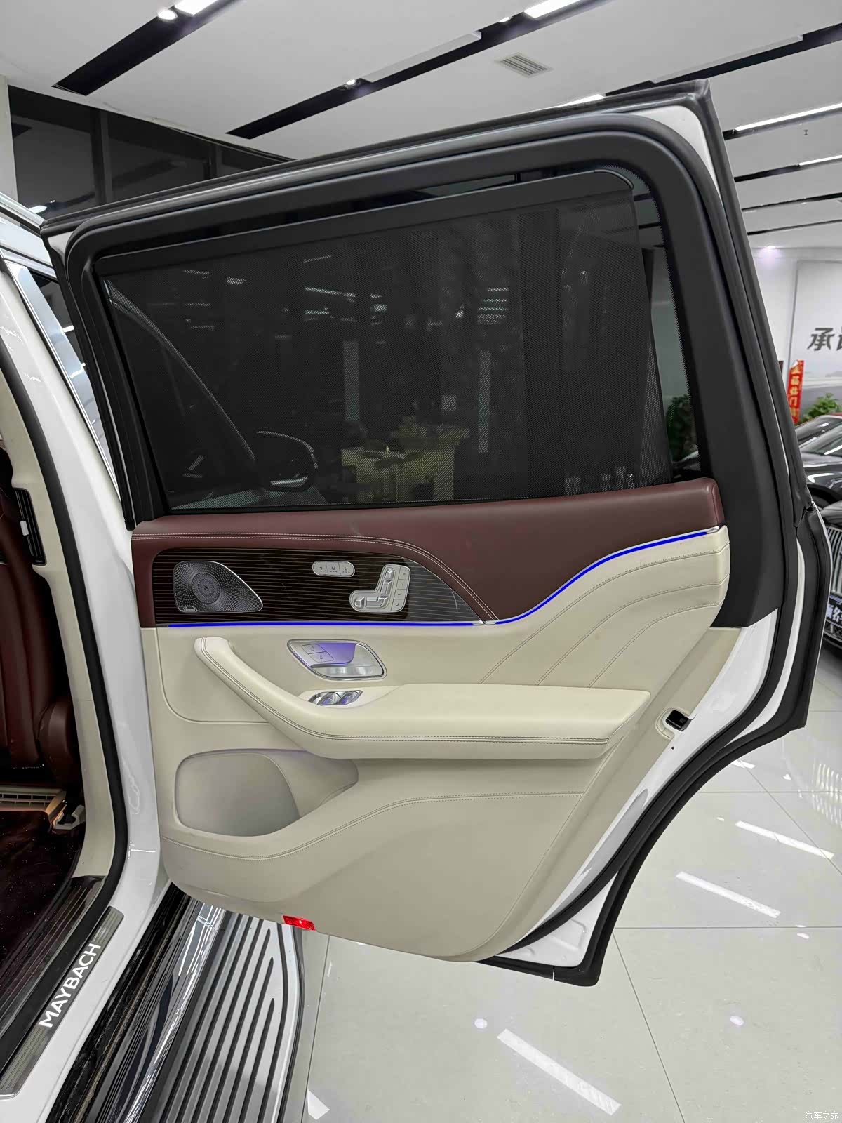 Maybach GLS, 2021 27