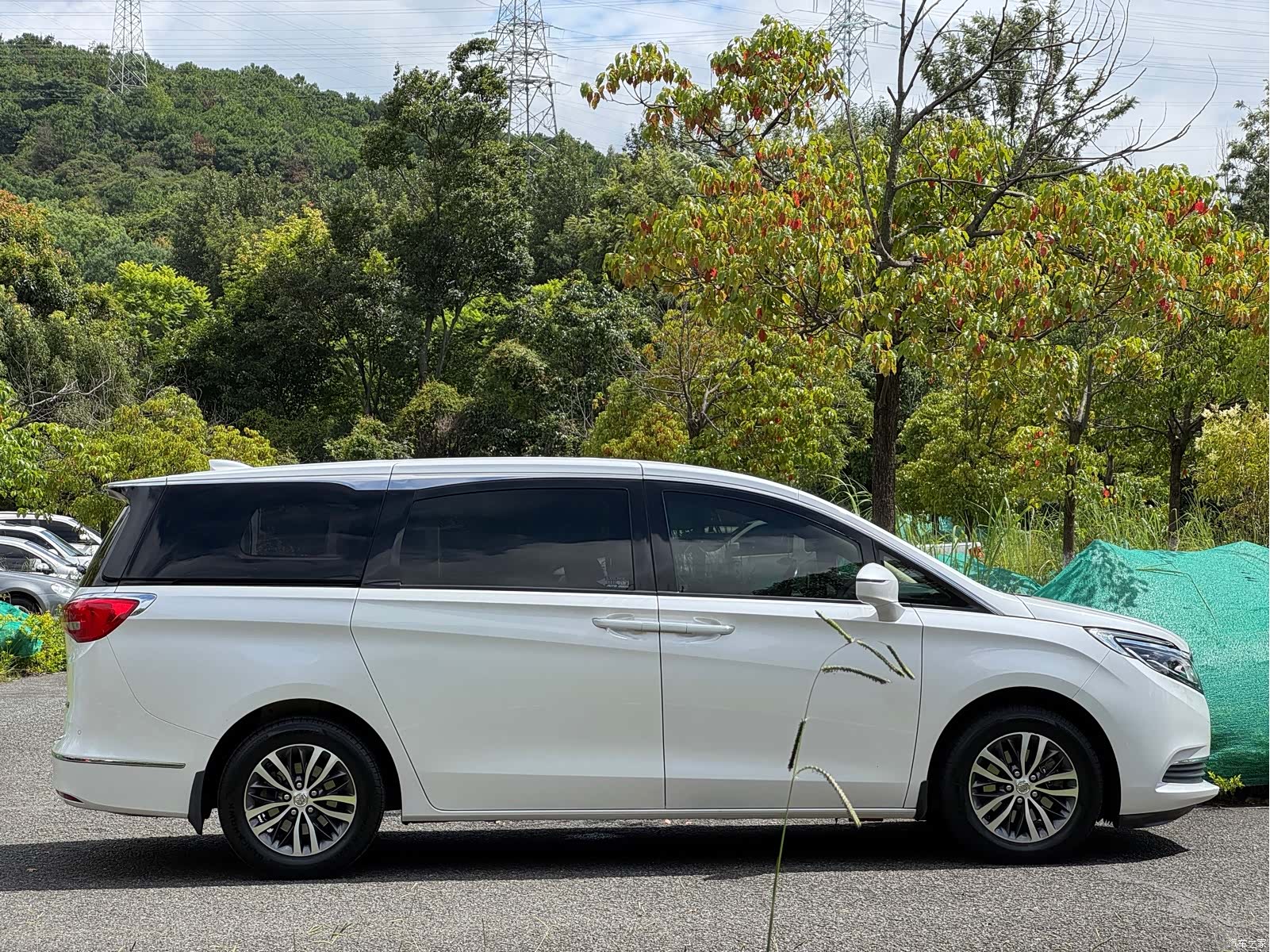 Buick GL8, 2019 4