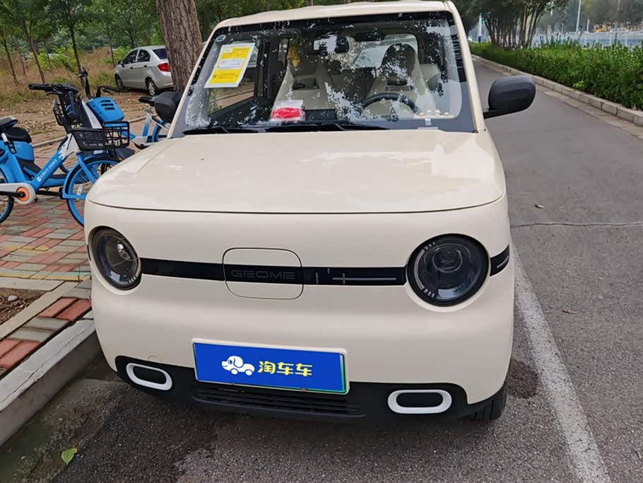 Geely Galaxy panda