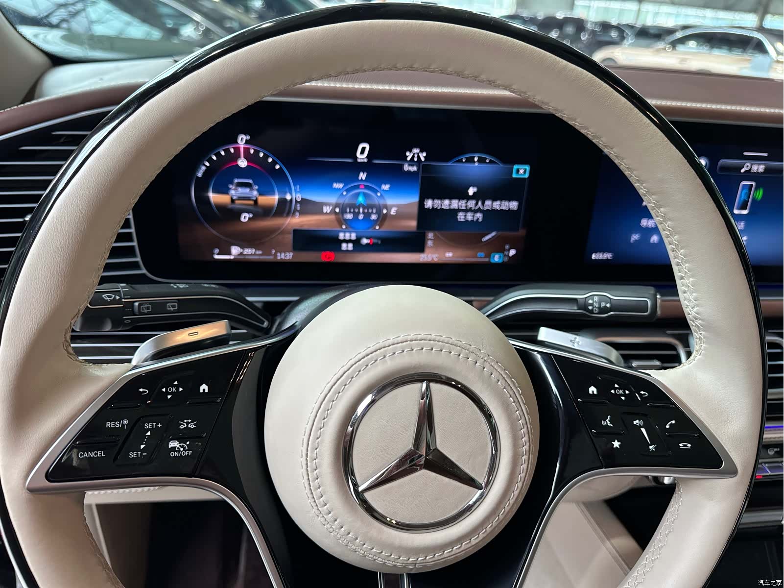 Mercedes-Benz GLS, 2024 12