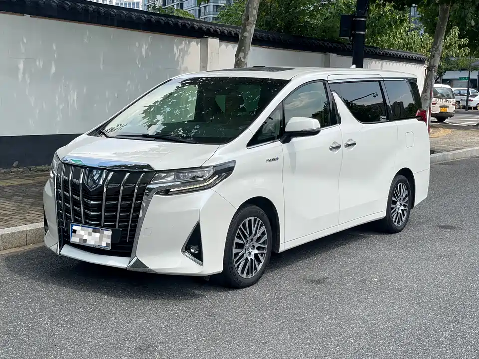 Toyota Elfa