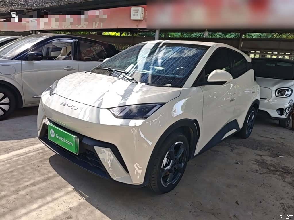 BYD Seagull, 2023 1