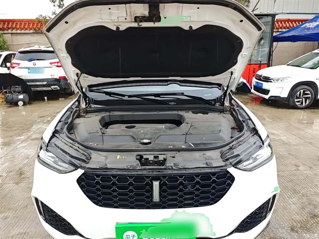 WEY VV6, 2019 20