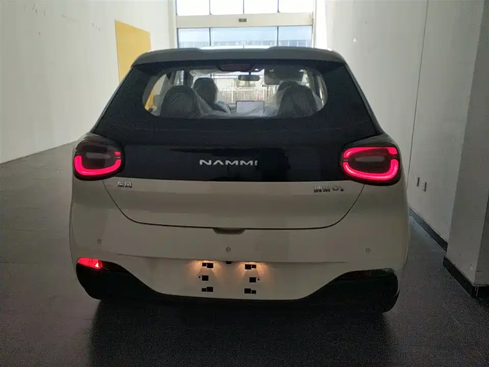 Dongfeng Nammi Nano 01