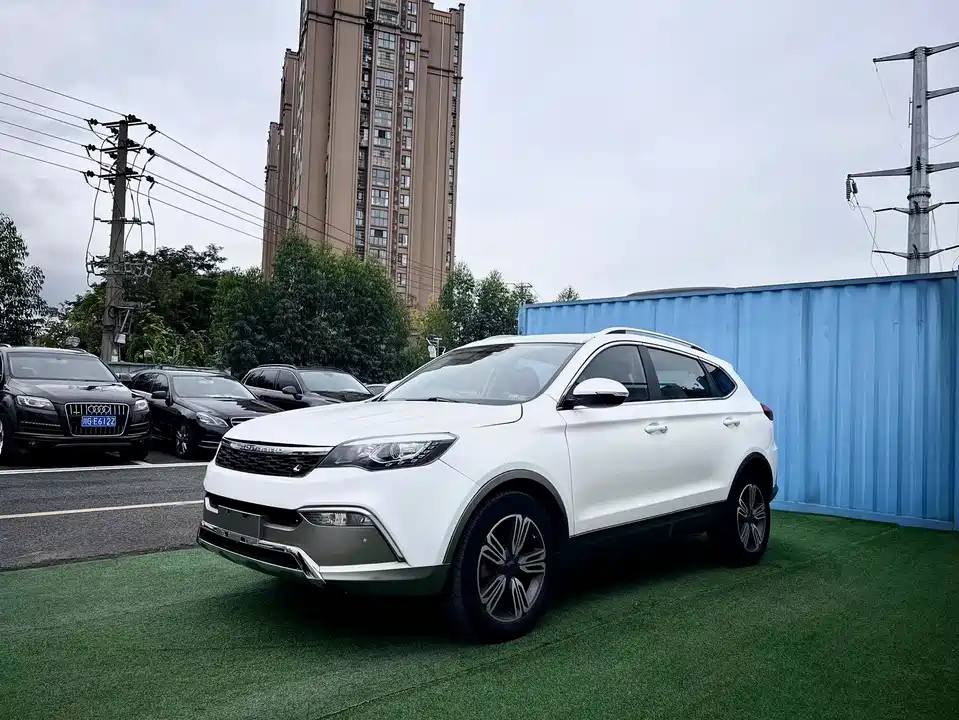 Leopaard Cheetah CS10