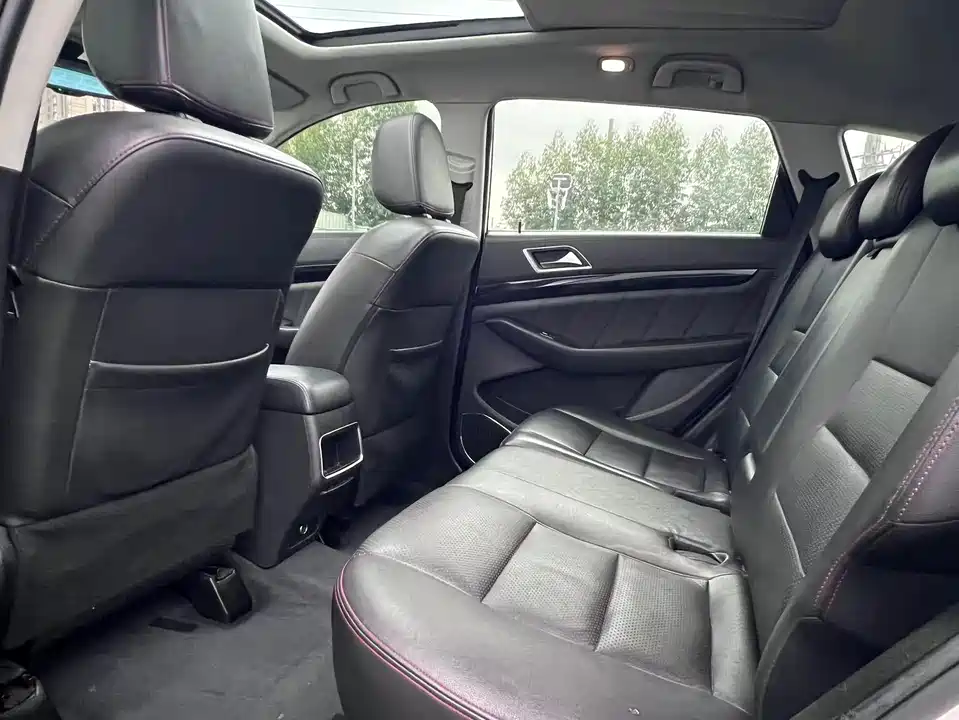 Leopaard Cheetah CS10