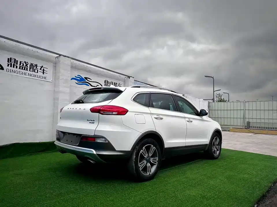 Leopaard Cheetah CS10