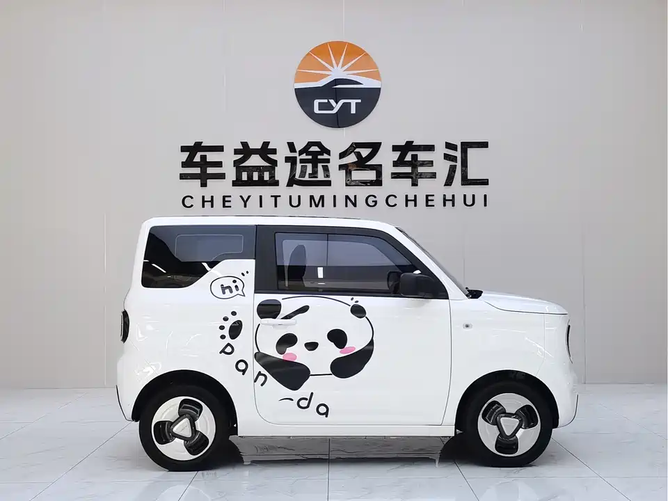 Geely Galaxy panda