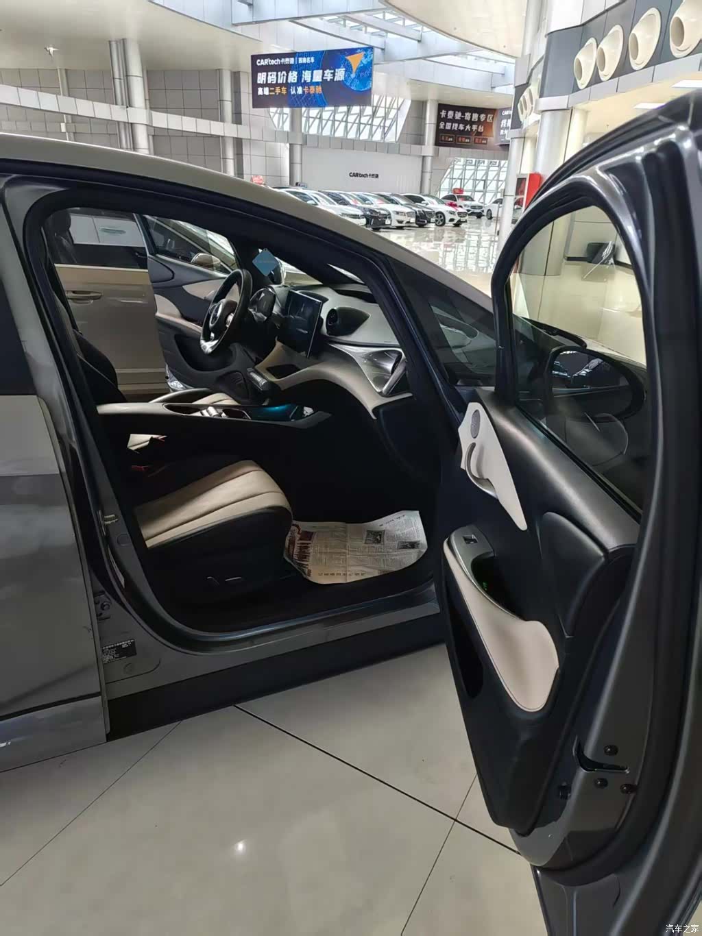 BYD Dolphin, 2024 8