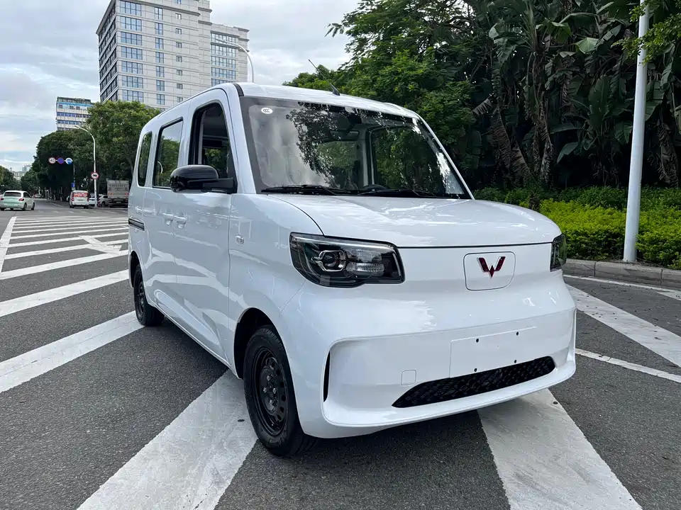 Wuling Wuling Zhiguang