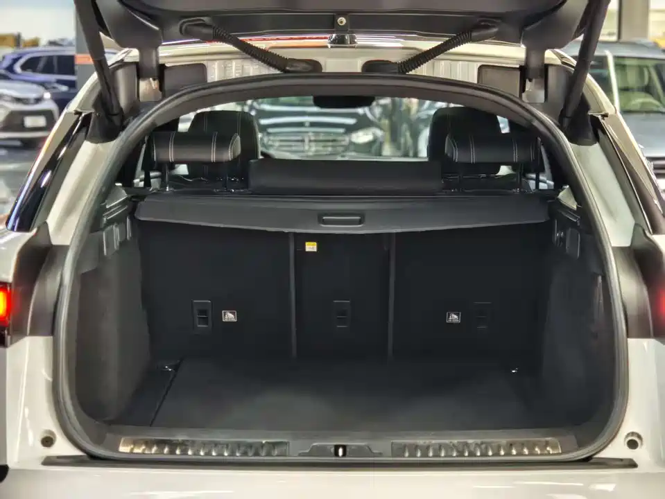 Land Rover Range Rover Star Pulse