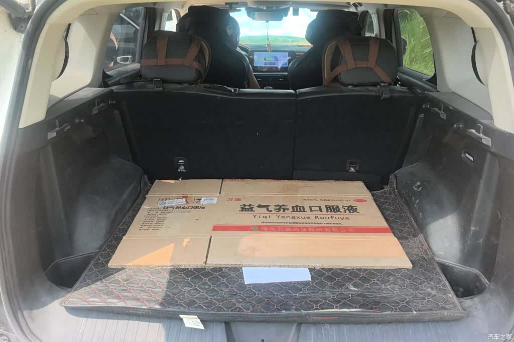 Haval Cool Dog, 2023 4