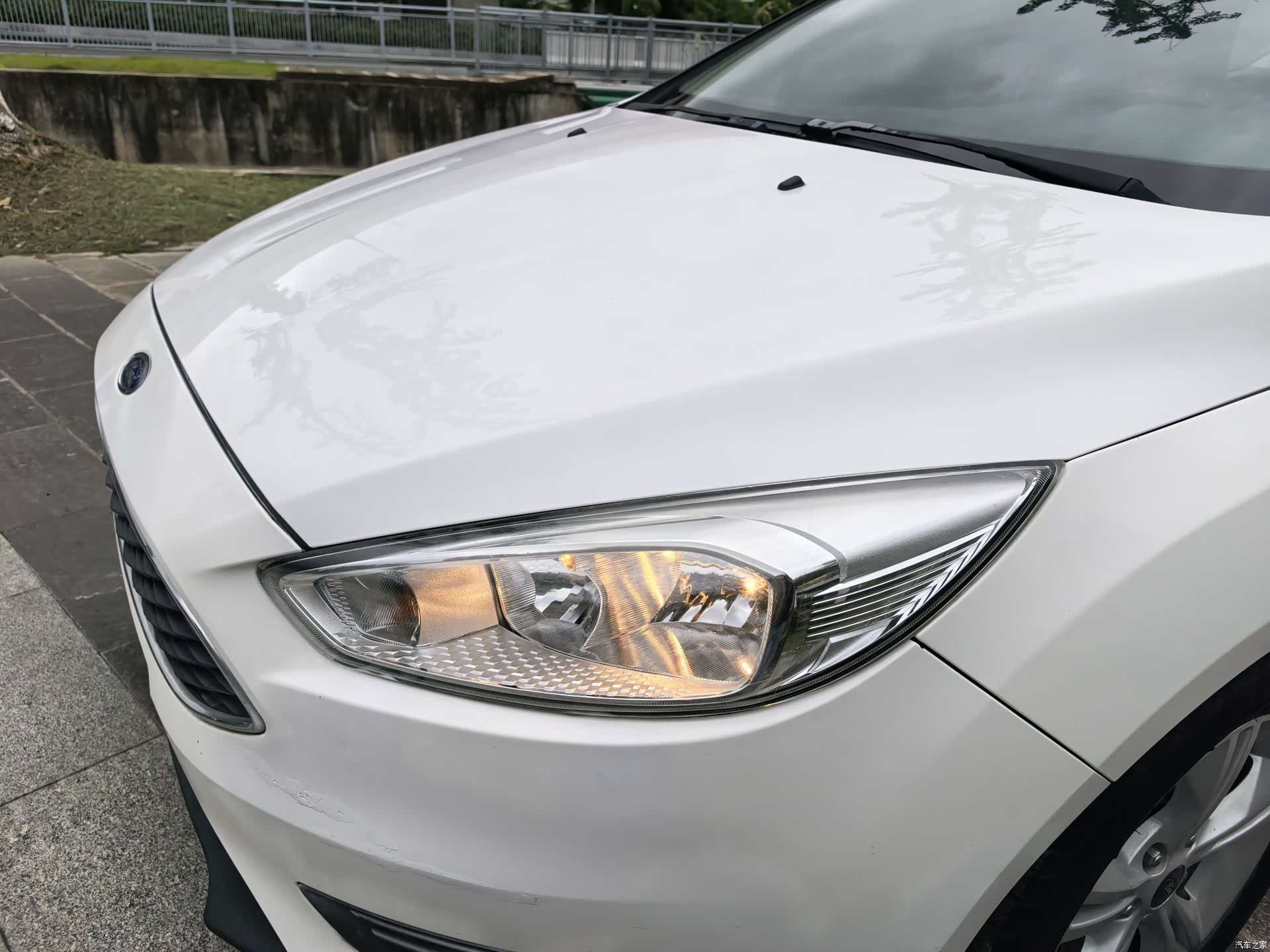 Ford Focus, 2016 все фото