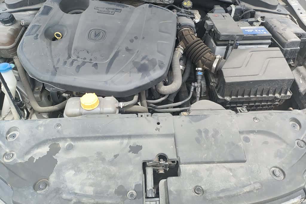 Changan Eado, 2021 10