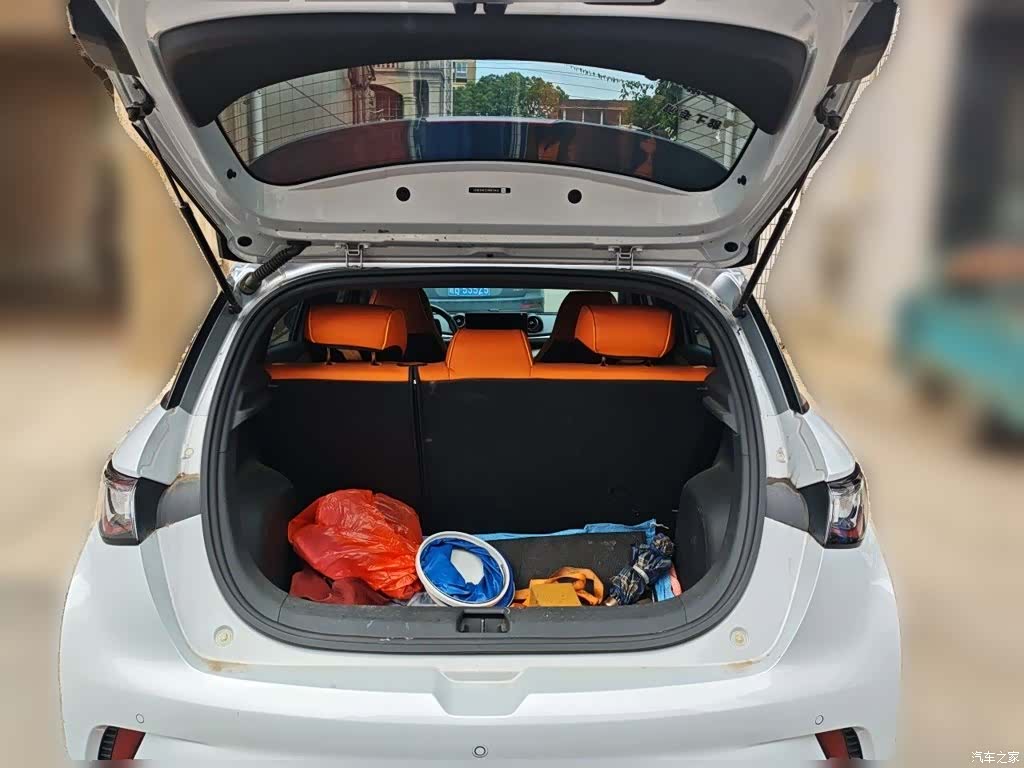 BYD Dolphin, 2022 10