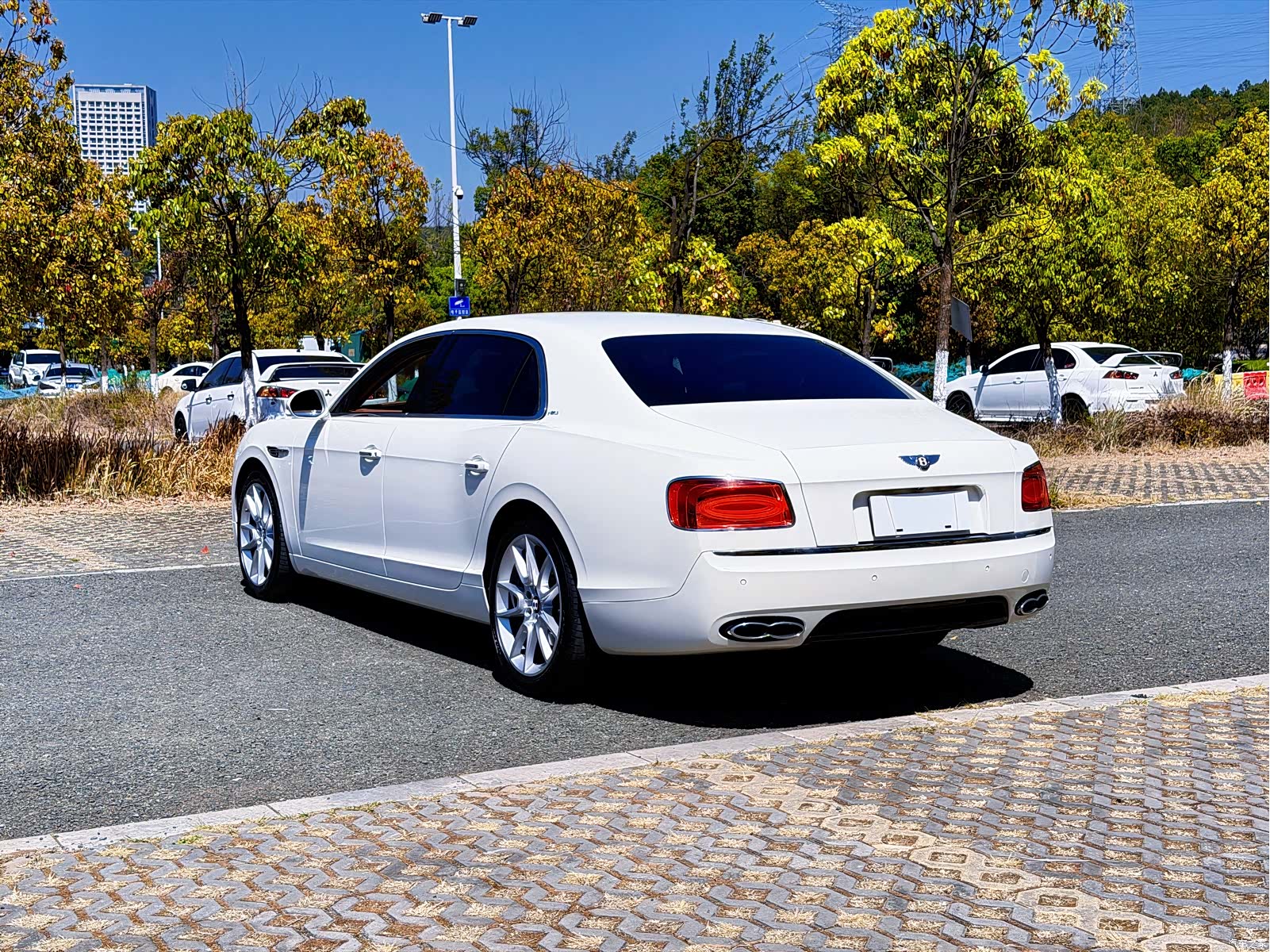 Bentley Flying Spur, 2020 22