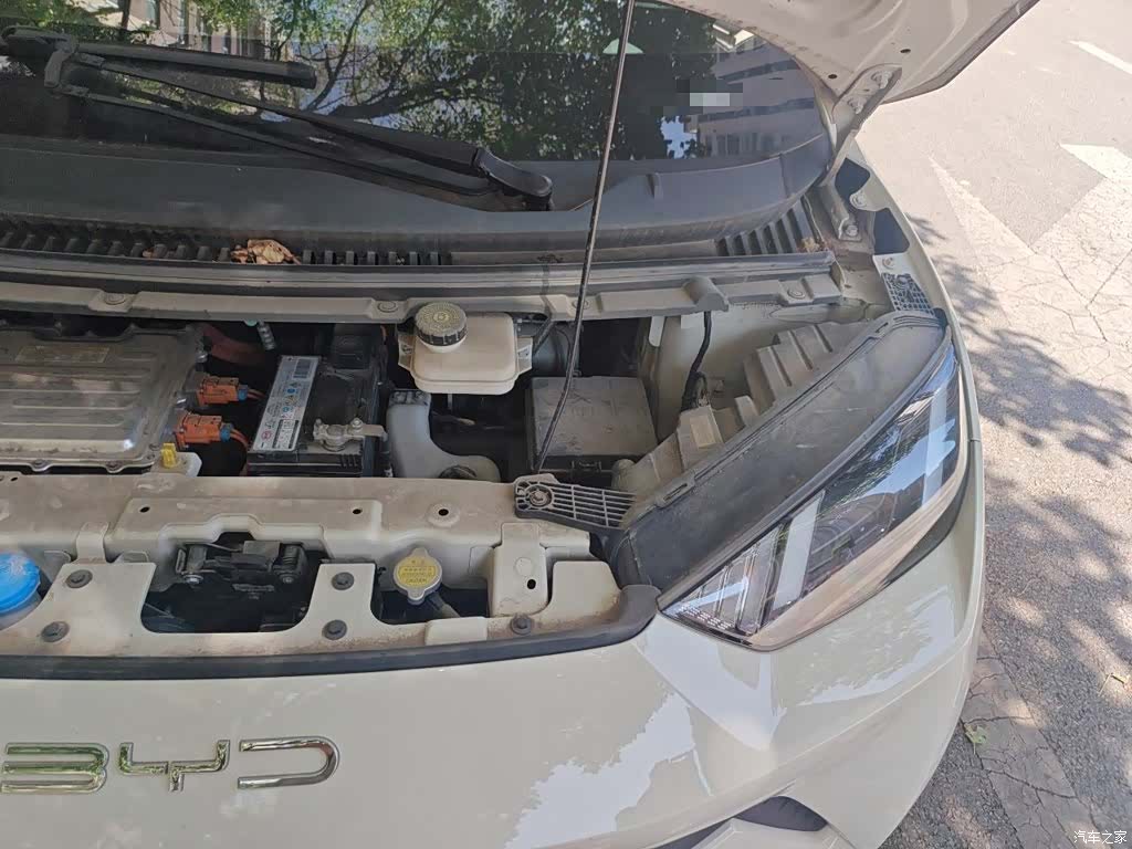 BYD Seagull, 2023 23
