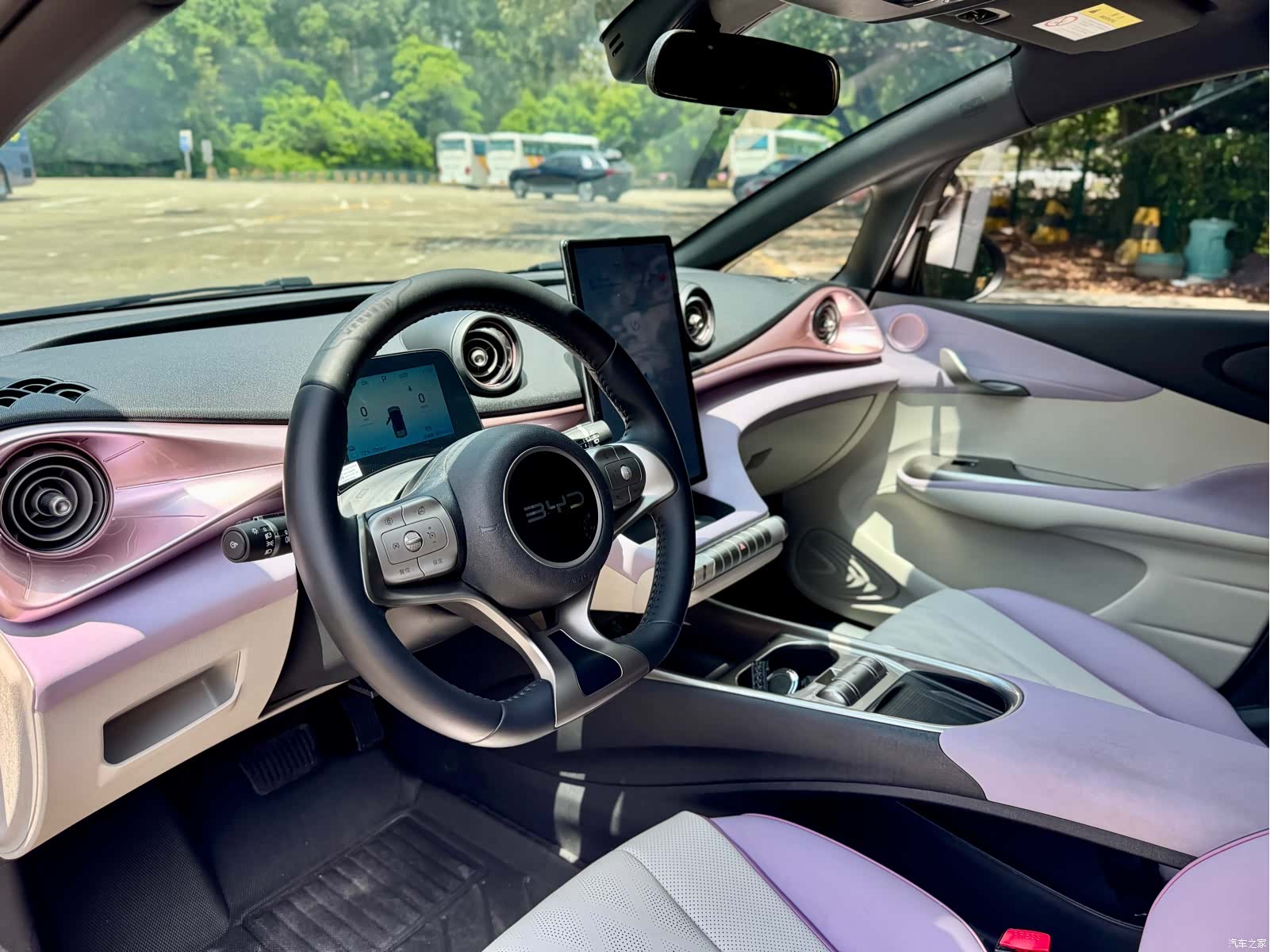 BYD Dolphin, 2024 6