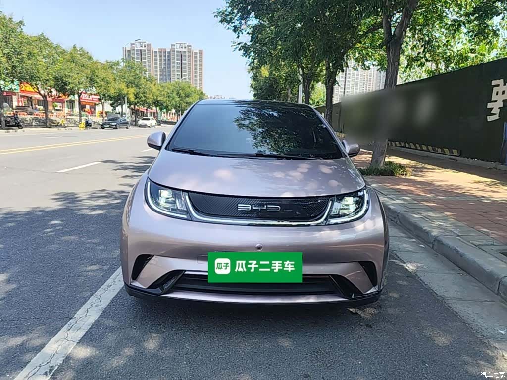 BYD Dolphin, 2022 3