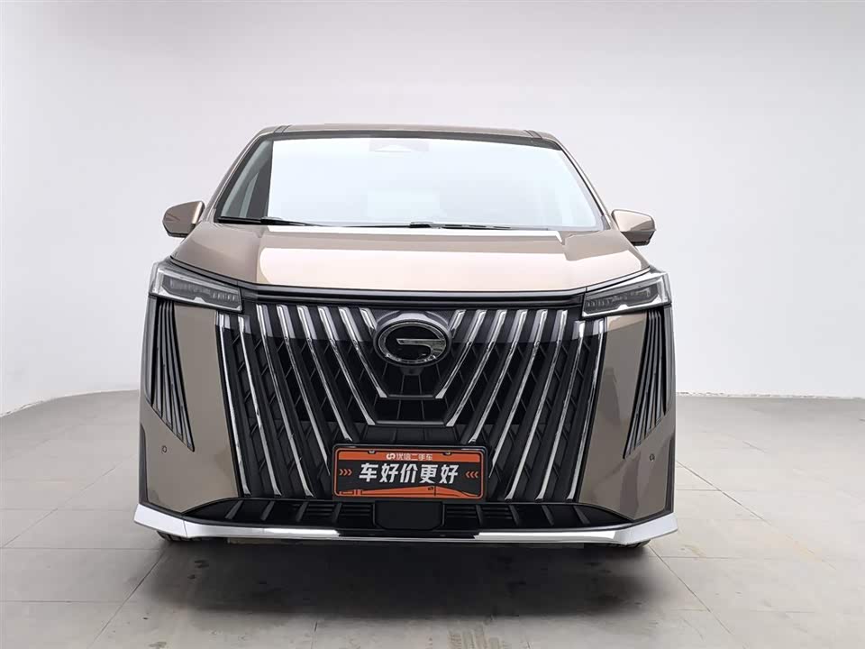 Trumpchi Trumpchi M8